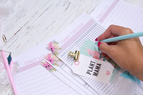 Beyaz ofis resepsiyon masası üstünde tepe-in boş defter sayfasıdır. Üstten görünüm, düz yatıyordu. Kağıtları masanın üzerinde yazma, planlama kalem,