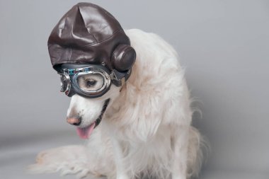 Vintage havacı kask ve gözlük kesintisiz gri bir arka plan ile beyaz altın geri almak