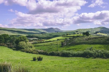 Yeşil alanlar olarak görülen kırsal R585 yolun Cousane Gap County Cork, İrlanda'dan 