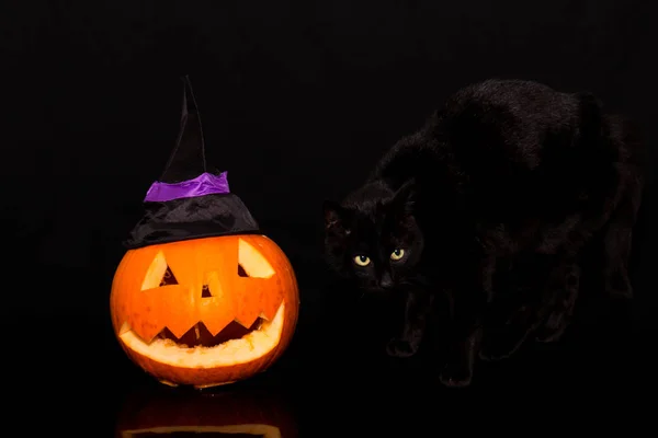 Gato Preto Lado Uma Abóbora Esculpida Contra Fundo Escuro — Fotografia de Stock