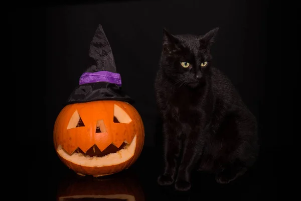 黑猫站在一个雕刻南瓜旁边的黑暗背景 — 图库照片