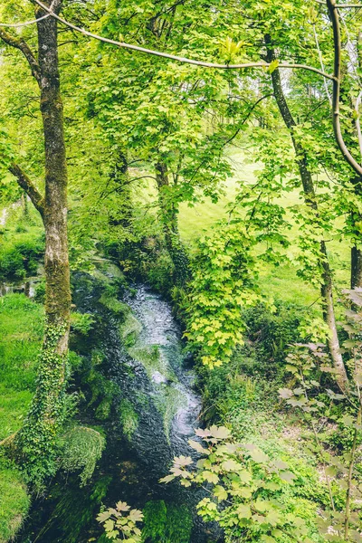 Ağaçlar Bitki Örtüsü Ile Çevrili Rlandalı Kırsalında Küçük Nehir — Stok fotoğraf