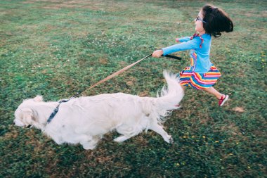 Beyaz Golden Retriever mutlu küçük bir kız için orta havada tutmaya çalışıyor tasma ile çalışan