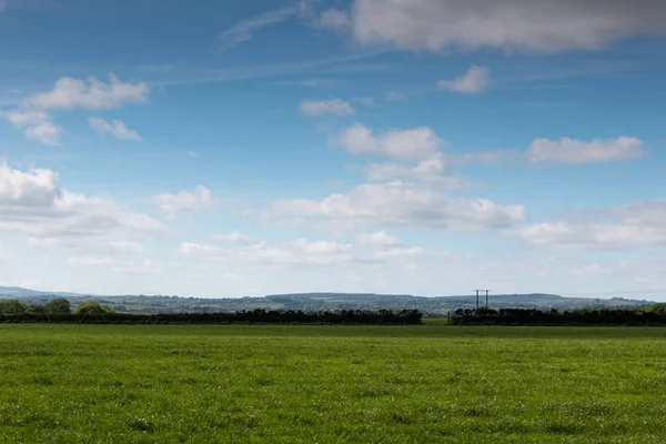 Campos Verdes Con Cielos Nublados Azules — Foto de Stock