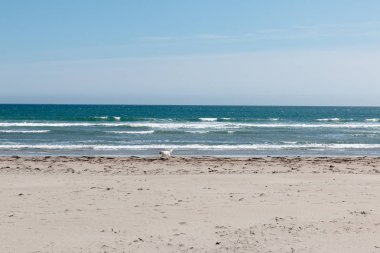 Bir plaj beyaz kum, masmavi su ve mavi gökyüzü ile beyaz altın geri almak