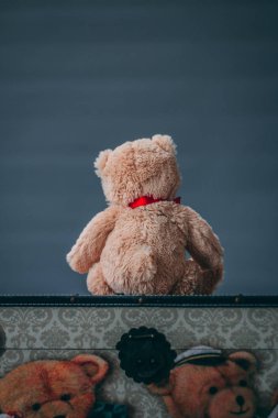 Kesintisiz gri bir arka plan karşı karşıya iken bir oyuncak ayı bir göğsünde oturur