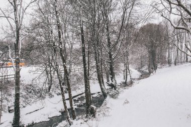 Carrignavar Köyü kırsal ortamda fırtına Emma, olarak da bilinen canavar Mart başında İrlanda vurmak doğudan sırasında: ağaçları ve yollar çevrili akışı kaplı karda.