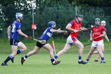 21 Haziran, Carrignavar, İrlanda - J. A. Hurling Şampiyonası: Erins Own Vs Sarsfield.