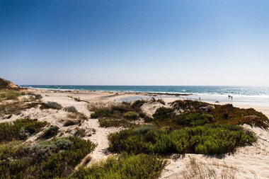 Sao Torpes yakınlarındaki Morgavel plajı, Sines, Portekiz