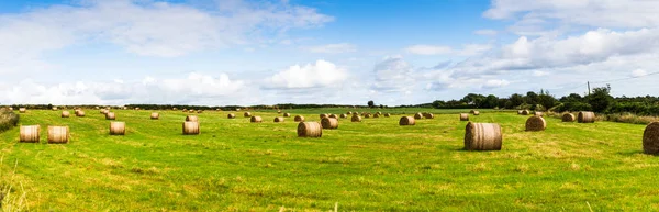 Vista Panorámica Paisaje Rural Con Rollos Paca Heno Repartidos Por — Foto de Stock