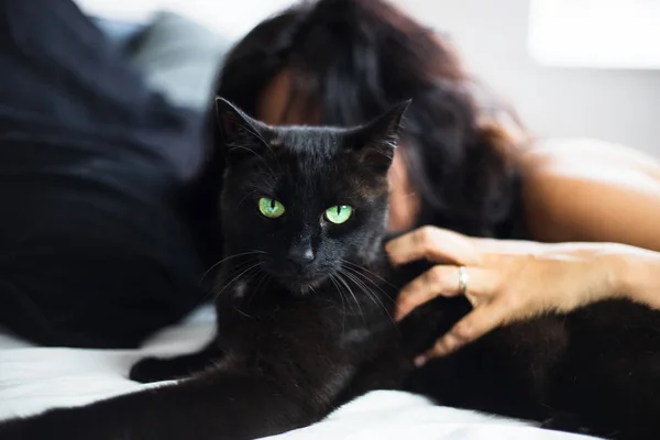 シルクのナイトガウンを着た識別できない女性がベッドに横たわり 明るい緑色の目をした黒猫を愛撫している — ストック写真