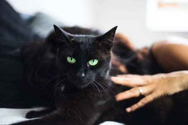 Een Onidentificeerbaar Vrouw Die Een Zijden Nachthemd Draagt Ligt Bed — Stockfoto