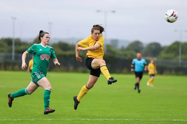 Settembre 2019 Cork Irlanda Quarti Finale Della Fai Cup Cork — Foto Stock