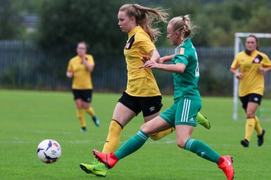 8 Eylül 2019, Cork, İrlanda - Fai Cup çeyrek final: Cork City Fc vs Shelbourne Fc