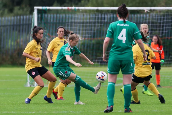 Września 2019 Cork Irlandia Fai Ćwierćfinał Pucharu Cork City Shelbourne — Zdjęcie stockowe