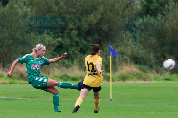 Septiembre 2019 Cork Irlanda Copa Fai Cuartos Final Cork City —  Fotos de Stock