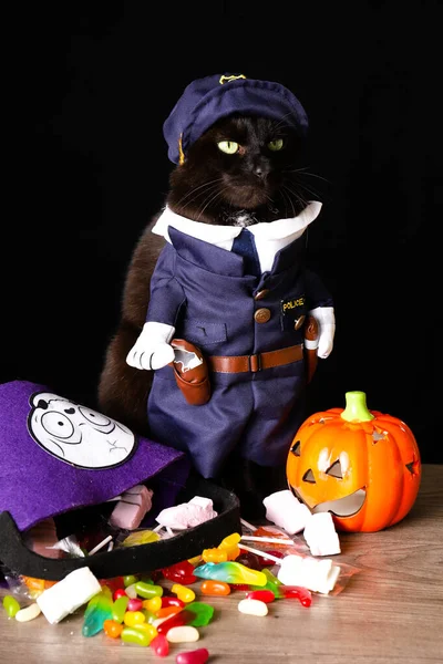 Gato Preto Vestido Como Policial Fica Cima Uma Mesa Madeira — Fotografia de Stock