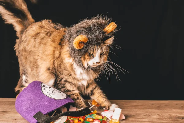 Tekir Kedi Içinde Şeker Olan Ahşap Bir Masanın Üstüne Kürklü — Stok fotoğraf