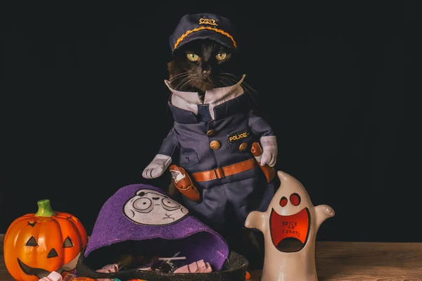 Egy Rendőrtisztnek Öltözött Fekete Macska Áll Egy Asztal Tetején Halloween — Stock Fotó