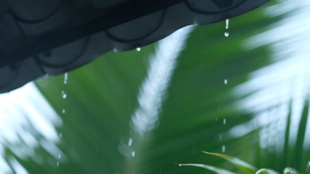 День Дождей Конце Года Тропической Стране — стоковое видео