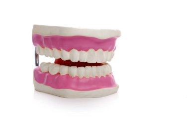 Beyaz arka planda sahte dişler