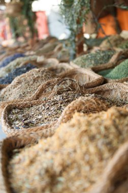 Çeşitli izole baharat Blu ile ön planda