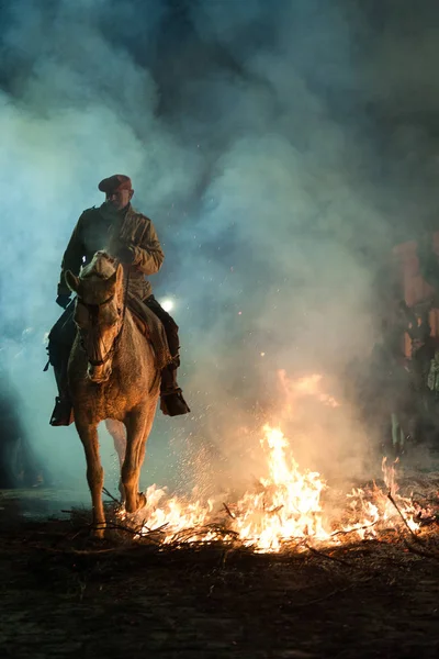 Cavalli Che Saltano Sopra Fuoco Senza Paura — Foto Stock