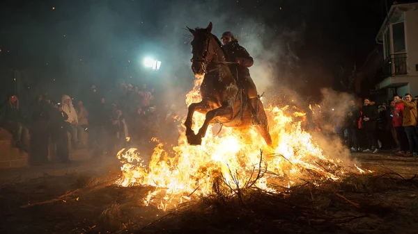Konie Skoki Powyżej Ognia Bez Strachu — Zdjęcie stockowe