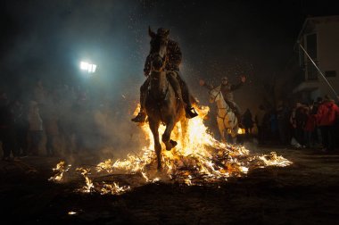 Hayvanlarda Ocak tarihinde San Bartolom de Pinares, il Avila, İspanya, şehirde gerçekleştirilen kutlama ruhunu arındırmak için bir gelenek olarak şenlik geçerken at 