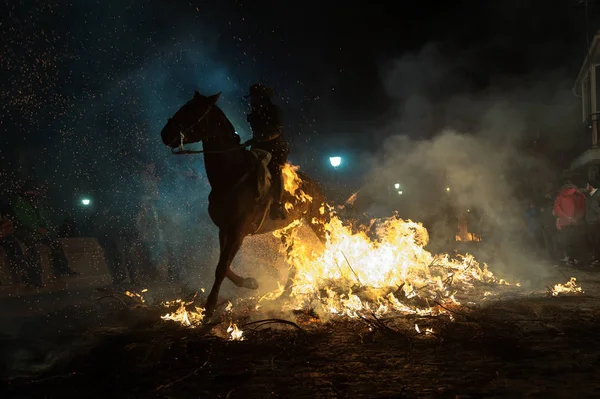 Koń Przechodząc Przez Ognisko Jako Tradycja Aby Oczyścić Duszę Zwierząt — Zdjęcie stockowe
