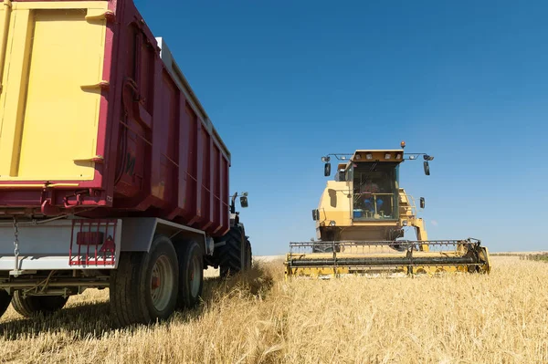 Macchine Agricole Che Lavorano Tour Dell Orzo Con Sunny — Foto Stock