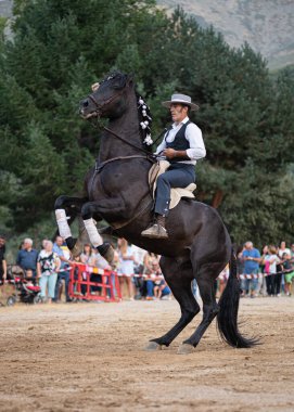 At biniciliği ve dans sergisinde at binicilik, Serranillos- Avila- İspanya 'da, 2019 Ağustos ayı boyunca at fai vesilesiyle düzenlendi.