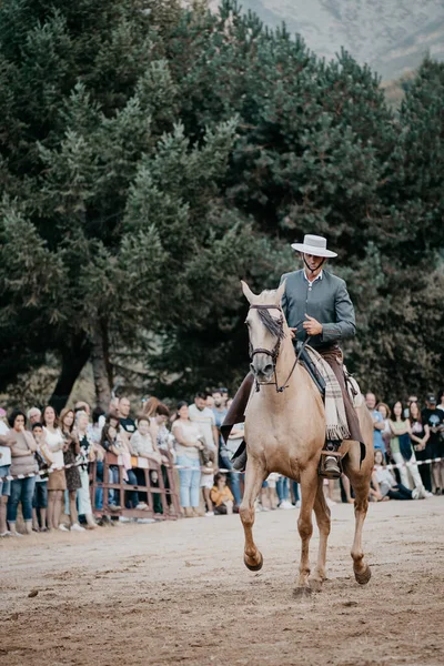 2019年8月 在西班牙的Serranillos Avil 西班牙市举行的骑马马术与舞蹈展览 — 图库照片