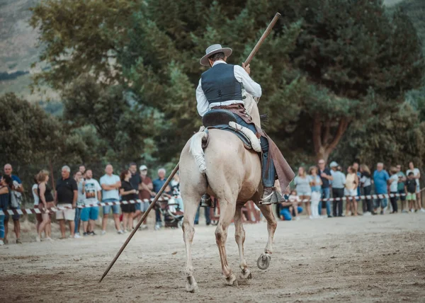 Paardrijden Paarden Dressuur Dans Tentoonstelling Gehouden Stad Serranillos Avila Spanje — Stockfoto