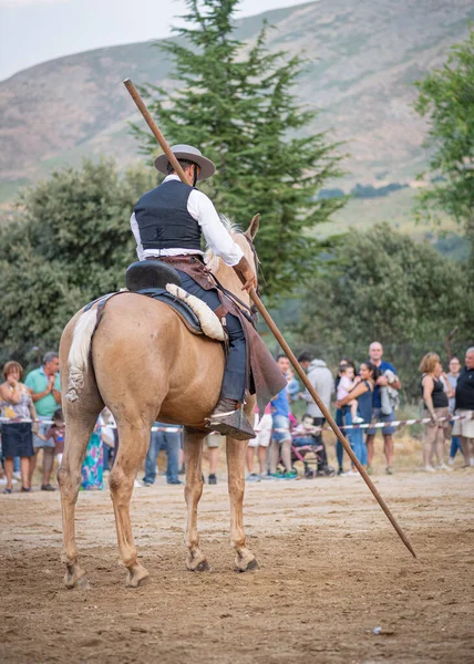 Paardrijden Paarden Dressuur Dans Tentoonstelling Gehouden Stad Serranillos Avila Spanje — Stockfoto