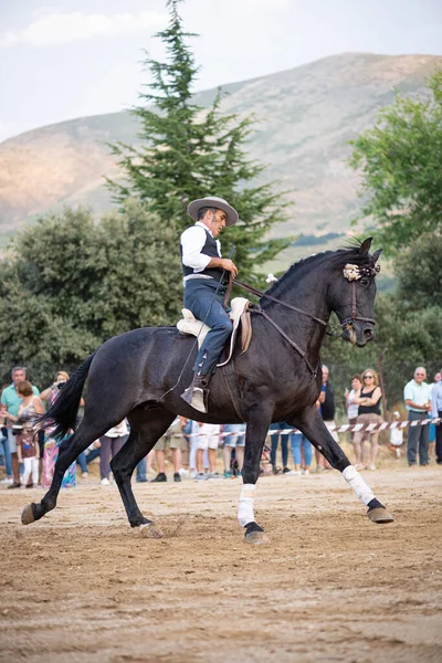 Jinete Caballo Realizando Bailes Doma Con Exposición Celebrada Localidad Serranillos — Foto de Stock