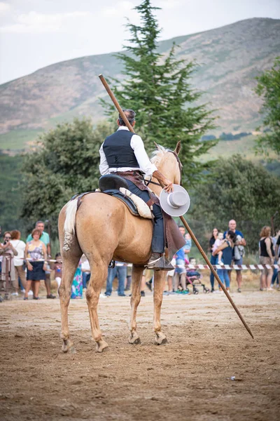 Rider His Horse Performing Dancing Dressage Him Exhibition Held Town — Stock Photo, Image