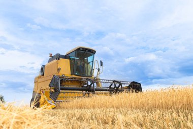 Malik süreçler boyunca tahıl toplama ve...