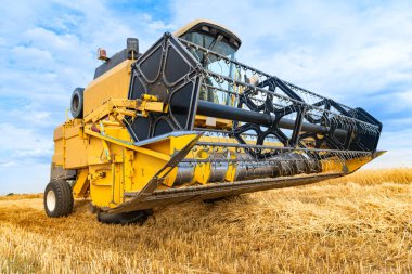 Malik süreçler boyunca tahıl toplama ve...