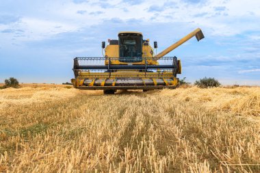 Malik süreçler boyunca tahıl toplama ve...