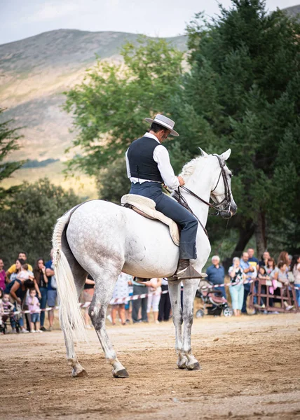 31 Ağustos 201 'de Serranillos, Avila, İspanya' da düzenlenen sergide, atının binicisi, onunla dans ediyor ve binicilik yapıyordu.