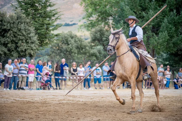 Rijder Zijn Paard Dansend Dressuurend Met Hem Tentoonstelling Gehouden Stad — Stockfoto