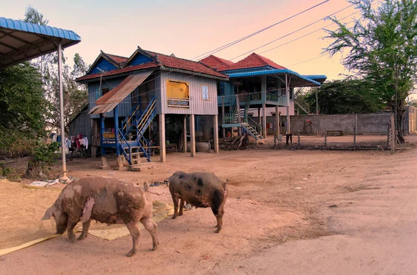 Khmer Tradicional Casa Madera Mayoría Ellos Color Azul Klong Duan — Foto de Stock