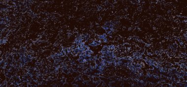 Arka plan mavi koyu kahverengidir. Gece gökyüzü soyutlama