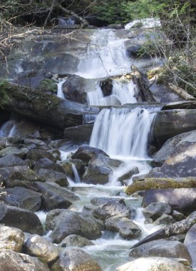 Shannon Falls dibinde akan suyun