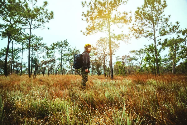 Asian man travel  nature. Travel relax. Backpack walk in the forest. Thailand — Stock Photo, Image