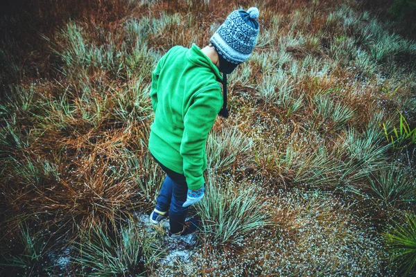 Aziatische vrouwen reizen natuur. Reizen ontspannen. Touch Natural Mountain — Stockfoto