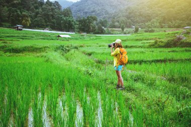 Asyalı kadın seyahat doğa Seyahat dinlenmek Yürüyüş yağmurlu sezonda pirinç alanında bir fotoğraf çekmek.