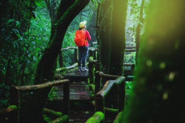 Asyalı kadınlar Tayland Chiangmai de Jungle Doğa Çalışması dinlenmek seyahat.