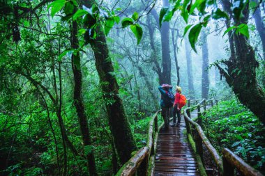 Sevgili Asyalı erkek ve Asyalı kadınlar doğa seyahat. Tayland Chiangmai de yağmur ormanlarında Doğa Çalışması.